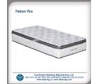 New 3 zones Pocket Spring Mattress / Model: Posture Plus